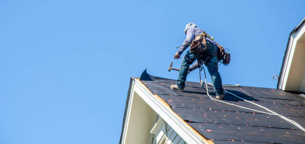 Best Roof Maintenance Services  in Falls Creek, PA